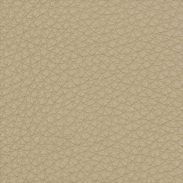A133