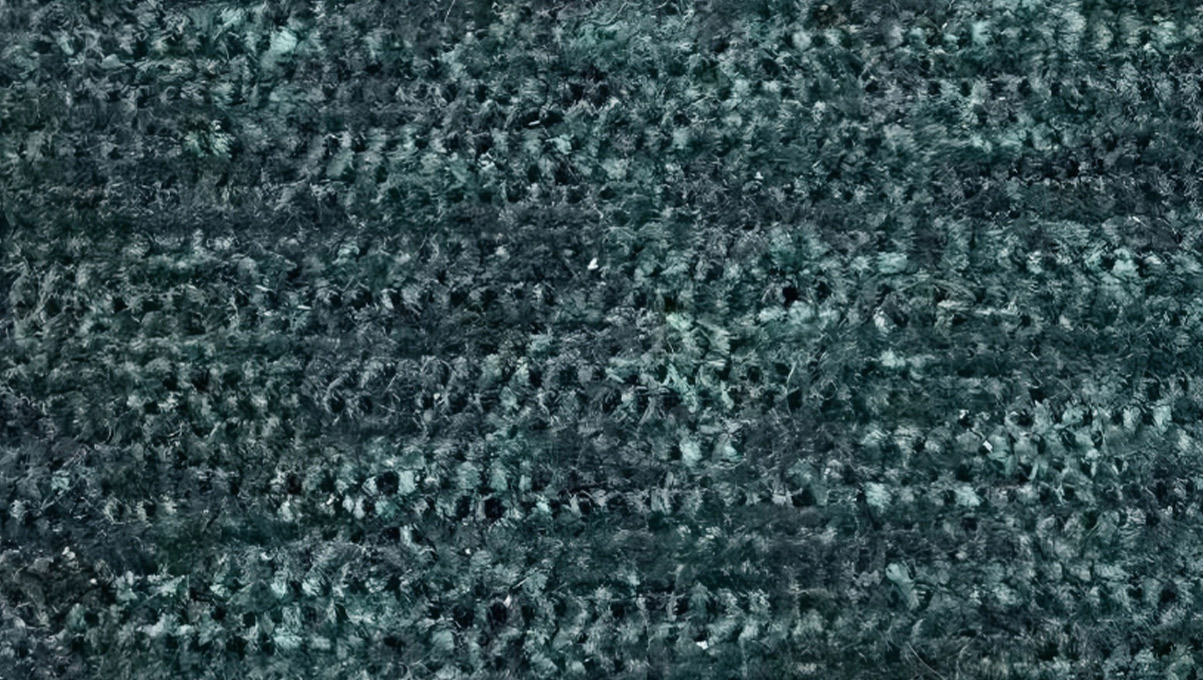 C210