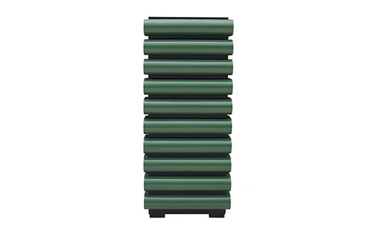 ZF81